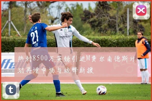热刺8500万英镑引进M费尔南德斯计划再增中场与边锋新援